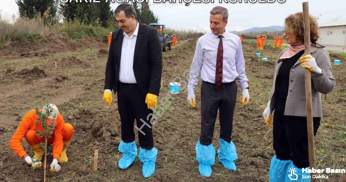 "Dalaman'da Tarımsal Hamle: Cezaevinde Sakız Ağacı Bahçesi Kuruldu" başlıklı haber için fotorealisti