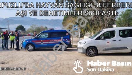 Karpuzlu’da Hayvan Sağlığı Seferberliği: Aşı ve Denetimler Sıkılaştı