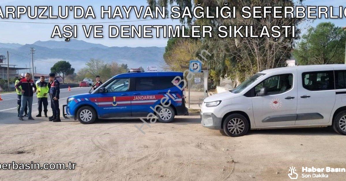 "Karpuzlu'da Hayvan Sağlığı Seferberliği: Aşı ve Denetimler Sıkılaştı" başlıklı haber için fotoreali