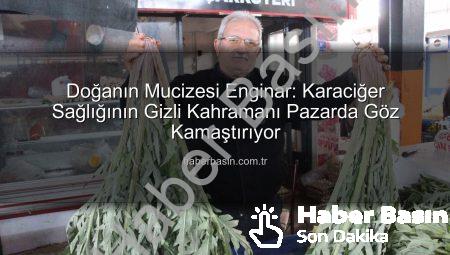 Doğanın Mucizesi Enginar: Karaciğer Sağlığının Gizli Kahramanı Pazarda Göz Kamaştırıyor