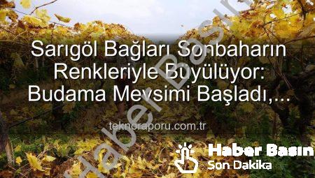 Sarıgöl’de Sonbahar Büyüsü: Üzüm Bağlarında Kartpostallık Manzaralar Eşliğinde Budama Çalışmaları Başladı