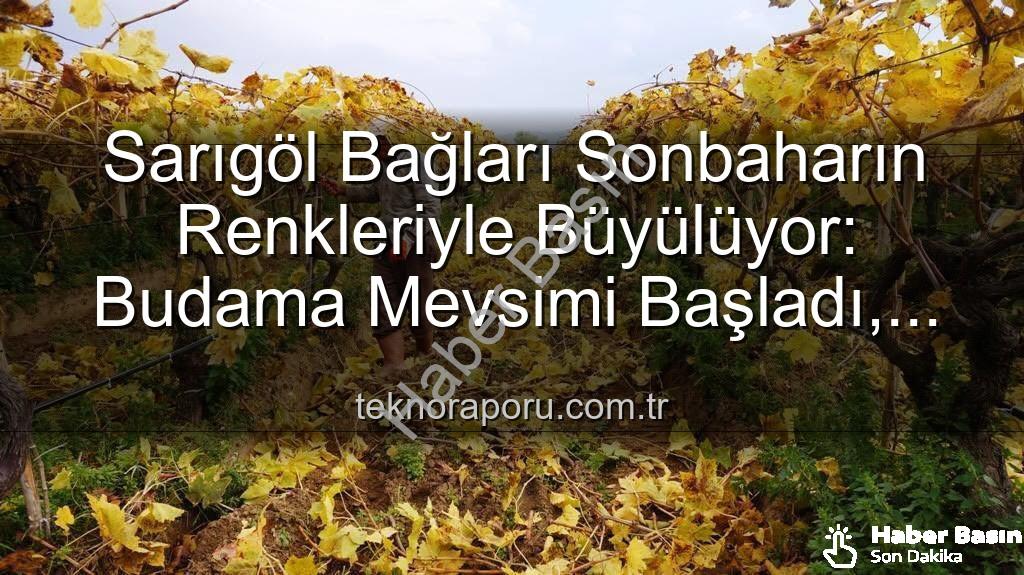 Sarıgöl üzüm bağları - Sarıgöl'de Sonbahar Büyüsü: Üzüm Bağlarında Kartpostallık Manzaralar Eşliğinde Budama Çalışmaları Başladı