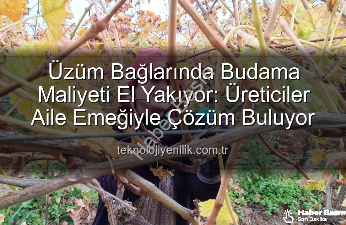 üzüm budama maliyeti - Üzüm Budama Maliyeti El Yaktı: Manisalı Üreticiler Ailece Bağlara İndi