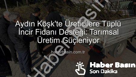 Aydın Köşk’te Üreticilere Tüplü İncir Fidanı Desteği: Tarımsal Üretim Güçleniyor