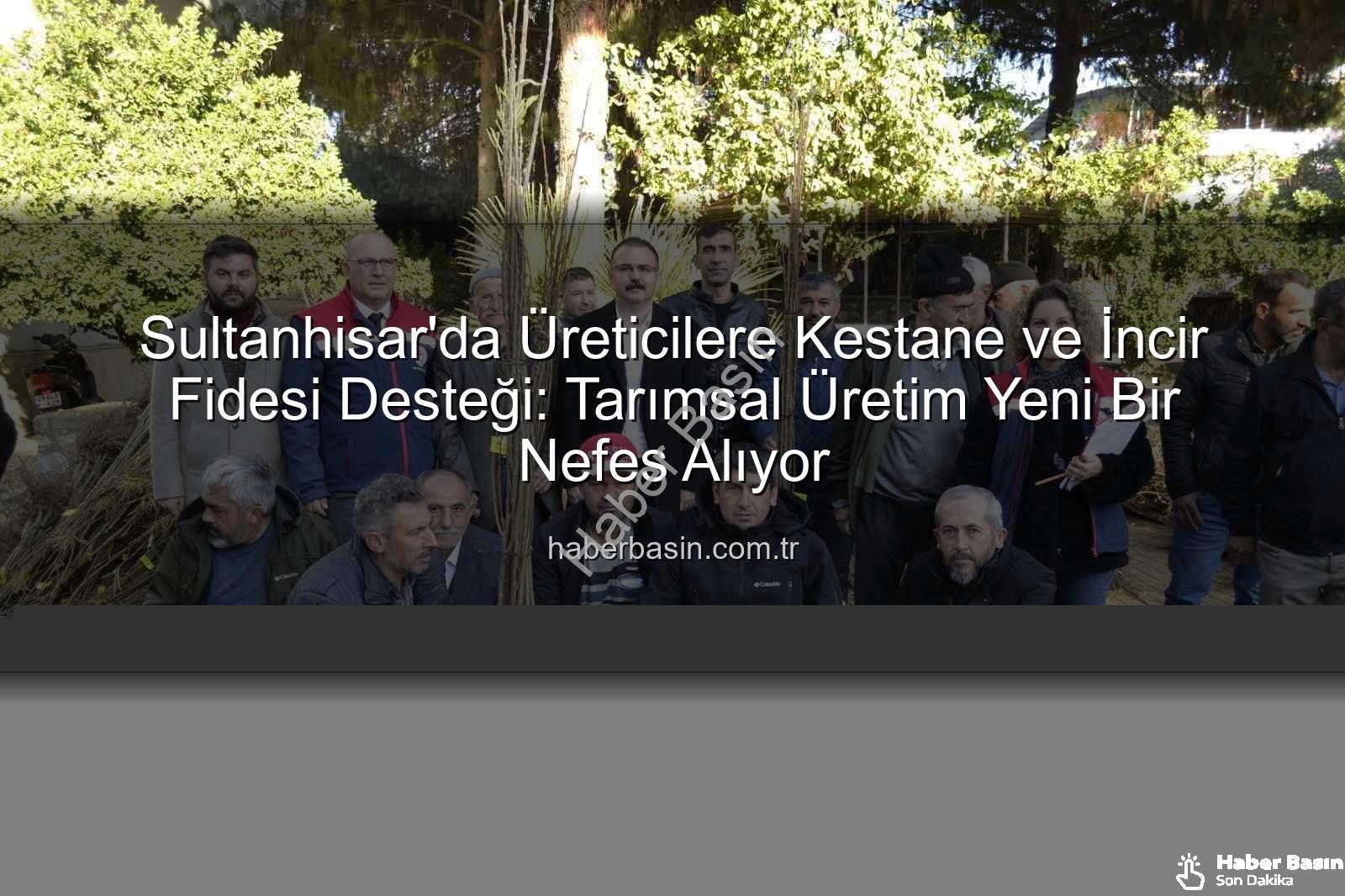 kestane incir fidesi - Sultanhisar'da Üreticilere Kestane ve İncir Fidesi Desteği: Tarımsal Üretim Yeni Bir Nefes Alıyor