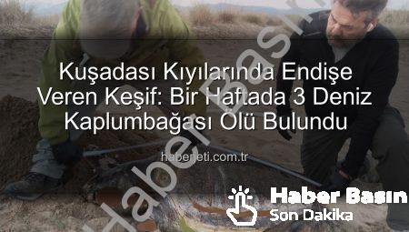 Kuşadası Sahillerinde Endişe Veren Gelişme: Bir Haftada 3 Deniz Kaplumbağası Ölü Bulundu