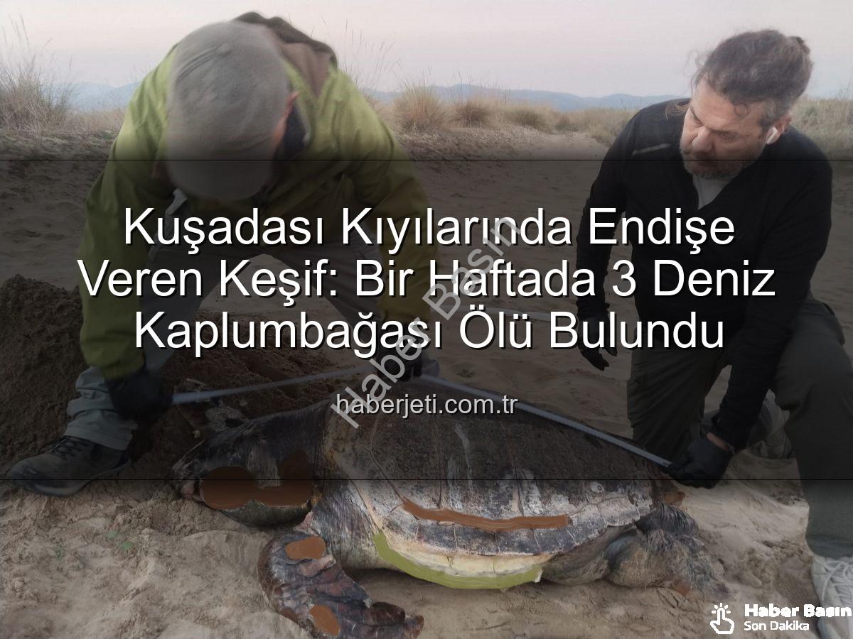 deniz kaplumbağası ölümleri - Kuşadası Sahillerinde Endişe Veren Gelişme: Bir Haftada 3 Deniz Kaplumbağası Ölü Bulundu