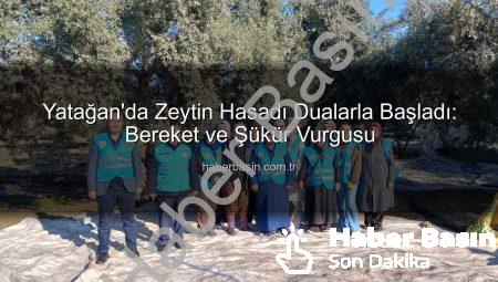 Yatağan’da Zeytin Hasadı Dualarla Başladı: Bereket ve Şükür Vurgusu