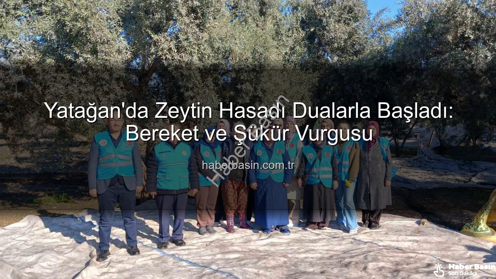 Yatağan zeytin hasadı - Yatağan'da Zeytin Hasadı Dualarla Başladı: Bereket ve Şükür Vurgusu