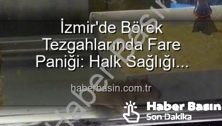İzmir’de Börek Tezgahlarında Fare Paniği: Halk Sağlığı Tehlikeye Girdi, İşletme Mühürlendi!