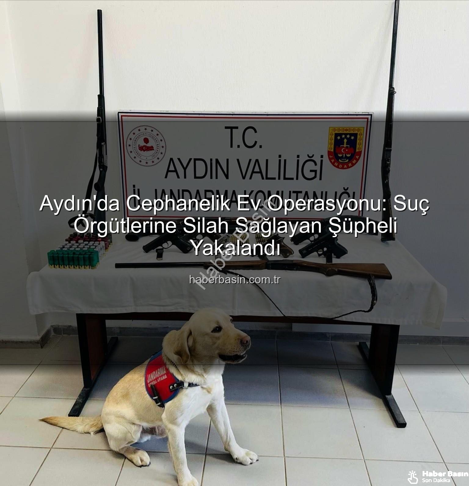 Aydın'da evden silahlar - Aydın'da Cephanelik Ev Operasyonu: Suç Örgütlerine Silah Sağlayan Şüpheli Yakalandı