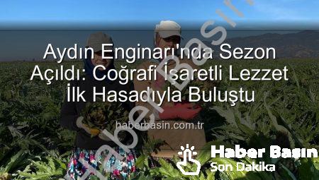 Aydın Enginarı’nda Sezon Açıldı: Coğrafi İşaretli Lezzet İlk Hasadıyla Buluştu
