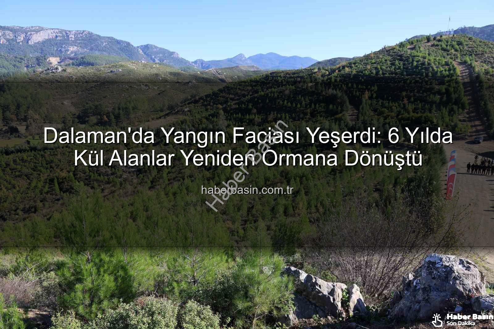 Dalaman yangın alanı - Dalaman'da Yangın Faciası Yeşerdi: 6 Yılda Kül Alanlar Yeniden Ormana Dönüştü