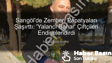 Sarıgöl’de Zemheri Papatyaları Şaşırttı: ‘Yalancı Bahar’ Çiftçileri Endişelendirdi